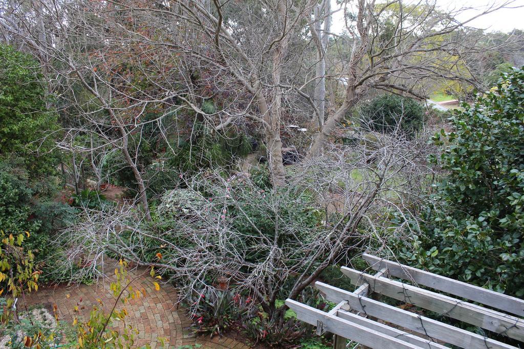 Possum Creek Lodge Gooseberry Hill الغرفة الصورة