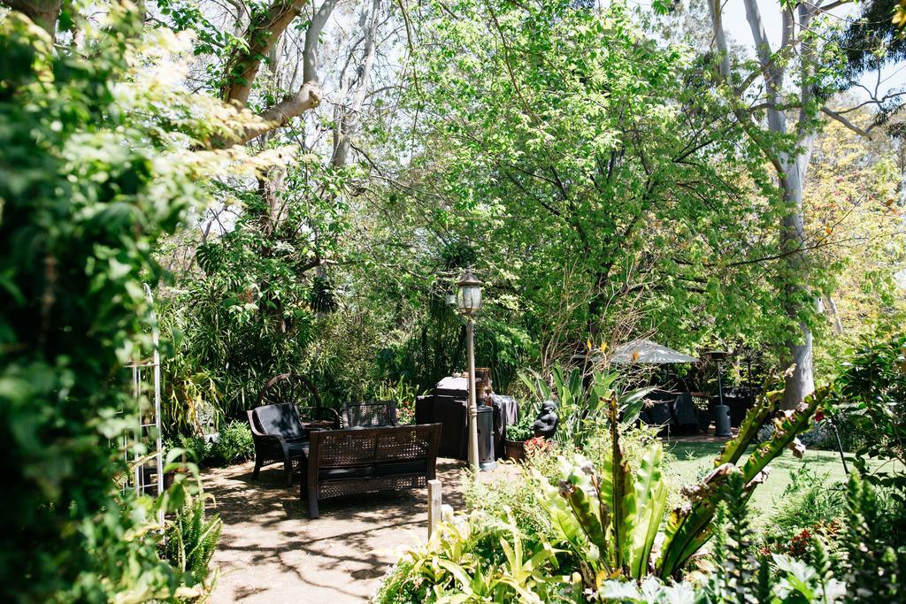 Possum Creek Lodge Gooseberry Hill المظهر الخارجي الصورة